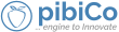 PibiCo cloud